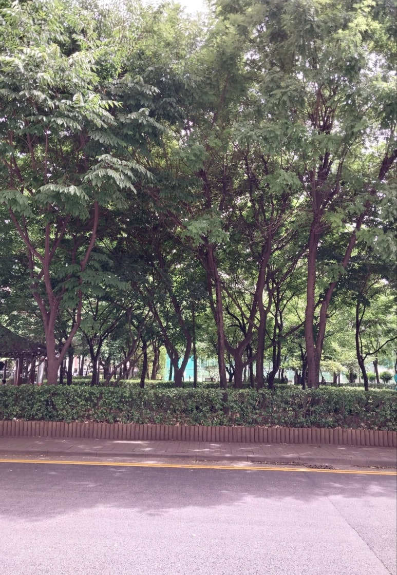 최강식자재마트 이미지