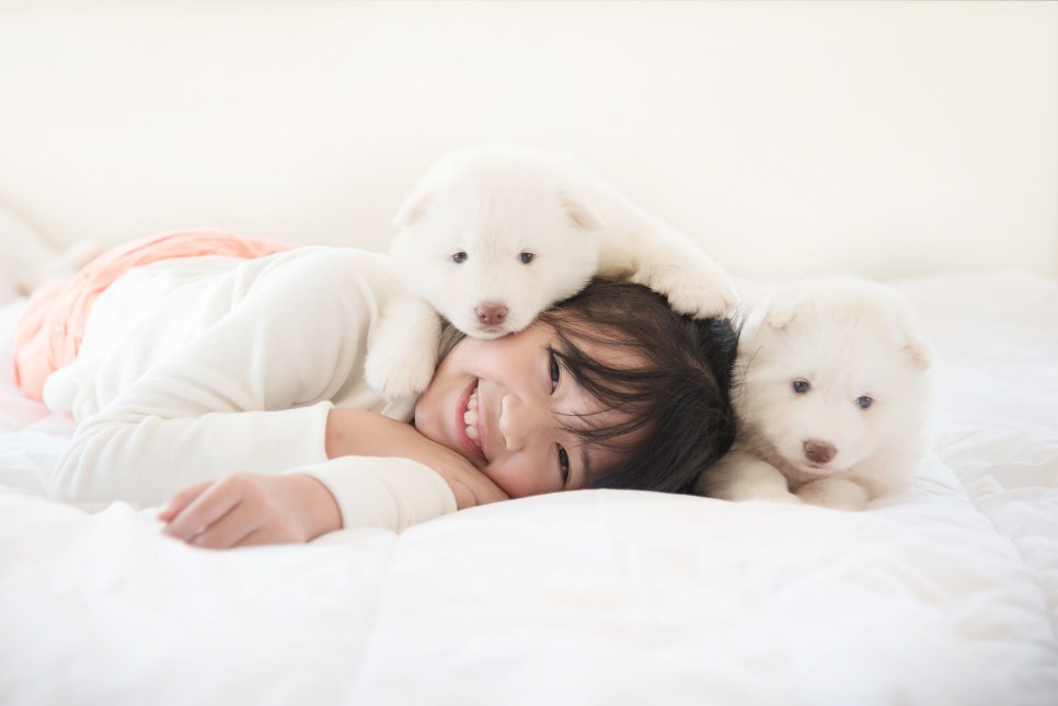 고양이 장례 비용, 안정적인 절차와 함께 — 사진 6