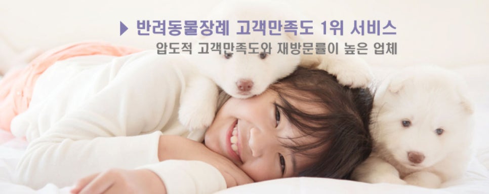 일산 강아지 장례식장: 개별 화장 절차 및 비용 안내 — 사진 16