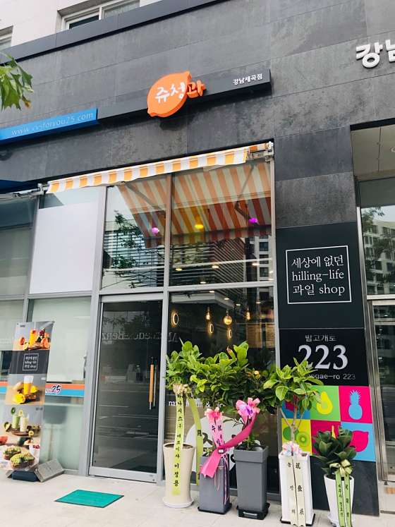 쥬청과 이미지