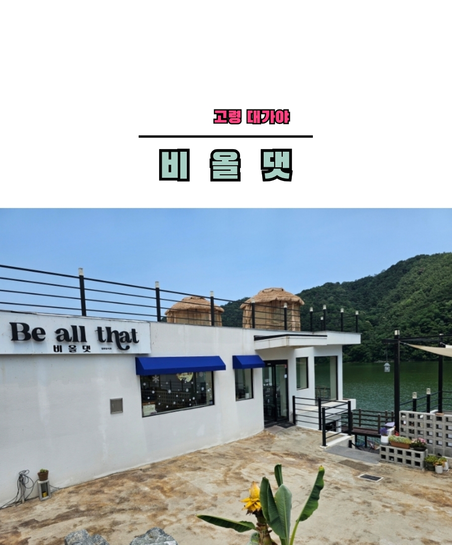 비올댓 이미지