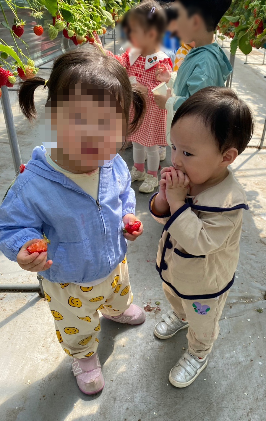 귀여농장 이미지