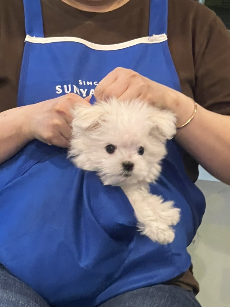 초록당구장 이미지