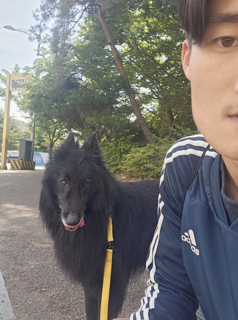 오케이펫미트 이미지