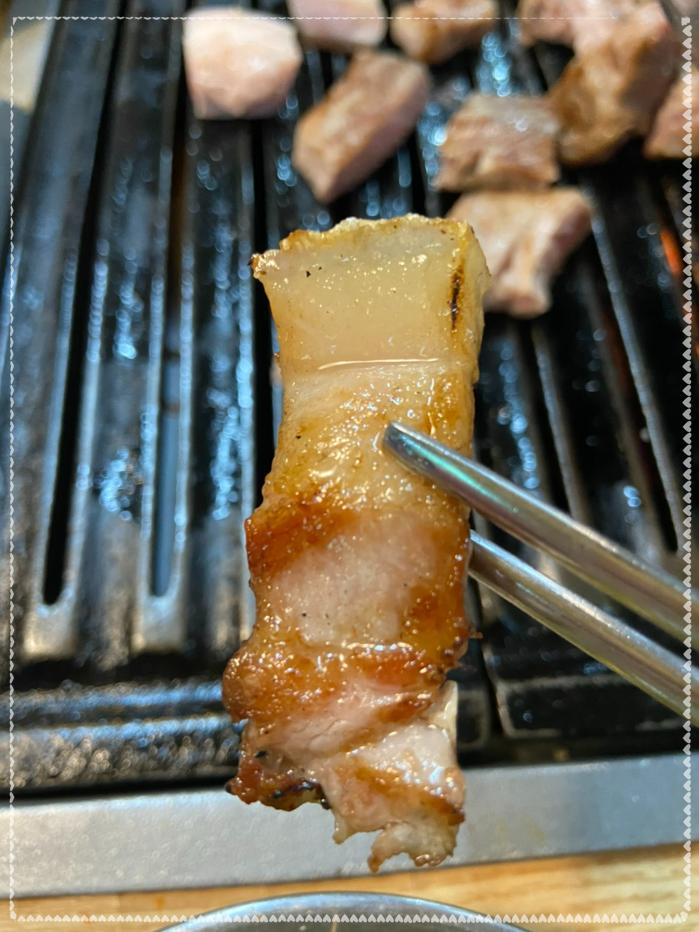 제주똥돼지 이미지