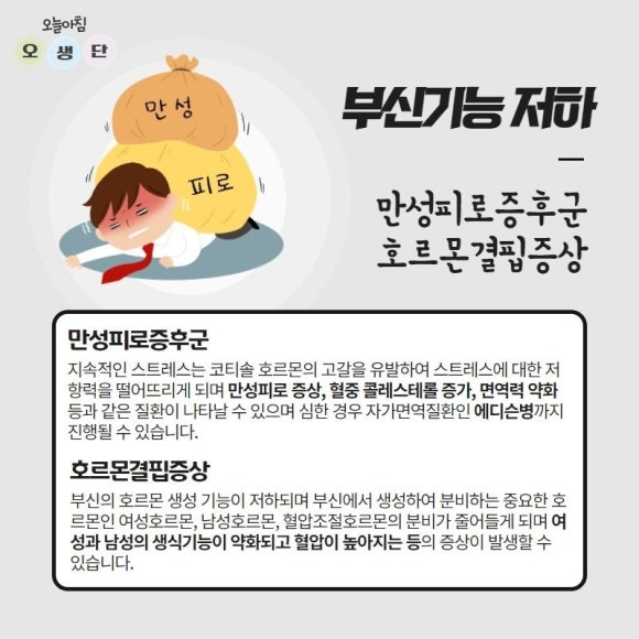 신장위 이미지