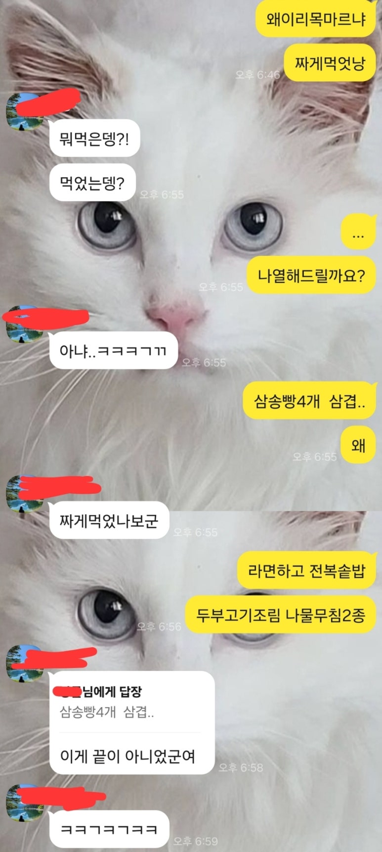 연미소관 이미지