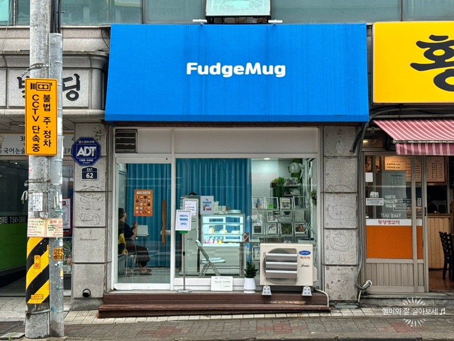 퍼지머그 이미지