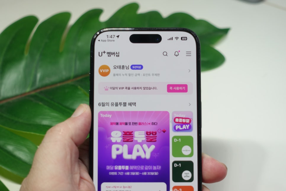 LG 유플러스 멤버십 혜택으로 배스킨라빈스 통신사 할인 받아 쿠폰 사용 이미지 2