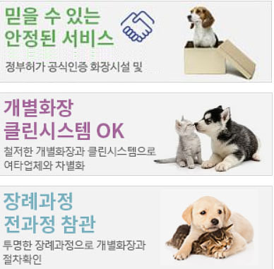 일산 강아지 장례식장: 개별 화장 절차 및 비용 안내 — 사진 11