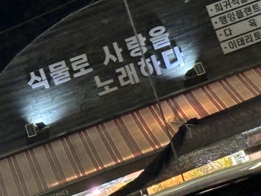 식물로사랑을노래하다 이미지