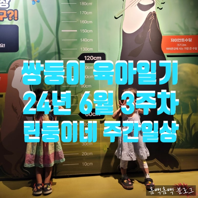 진이네정육식당 이미지