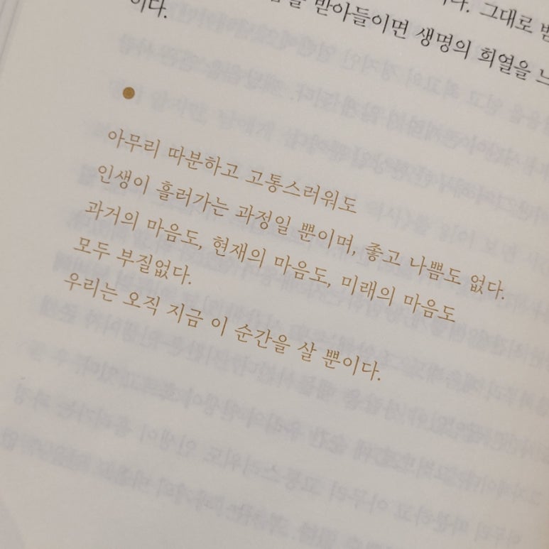 경대서점주 이미지