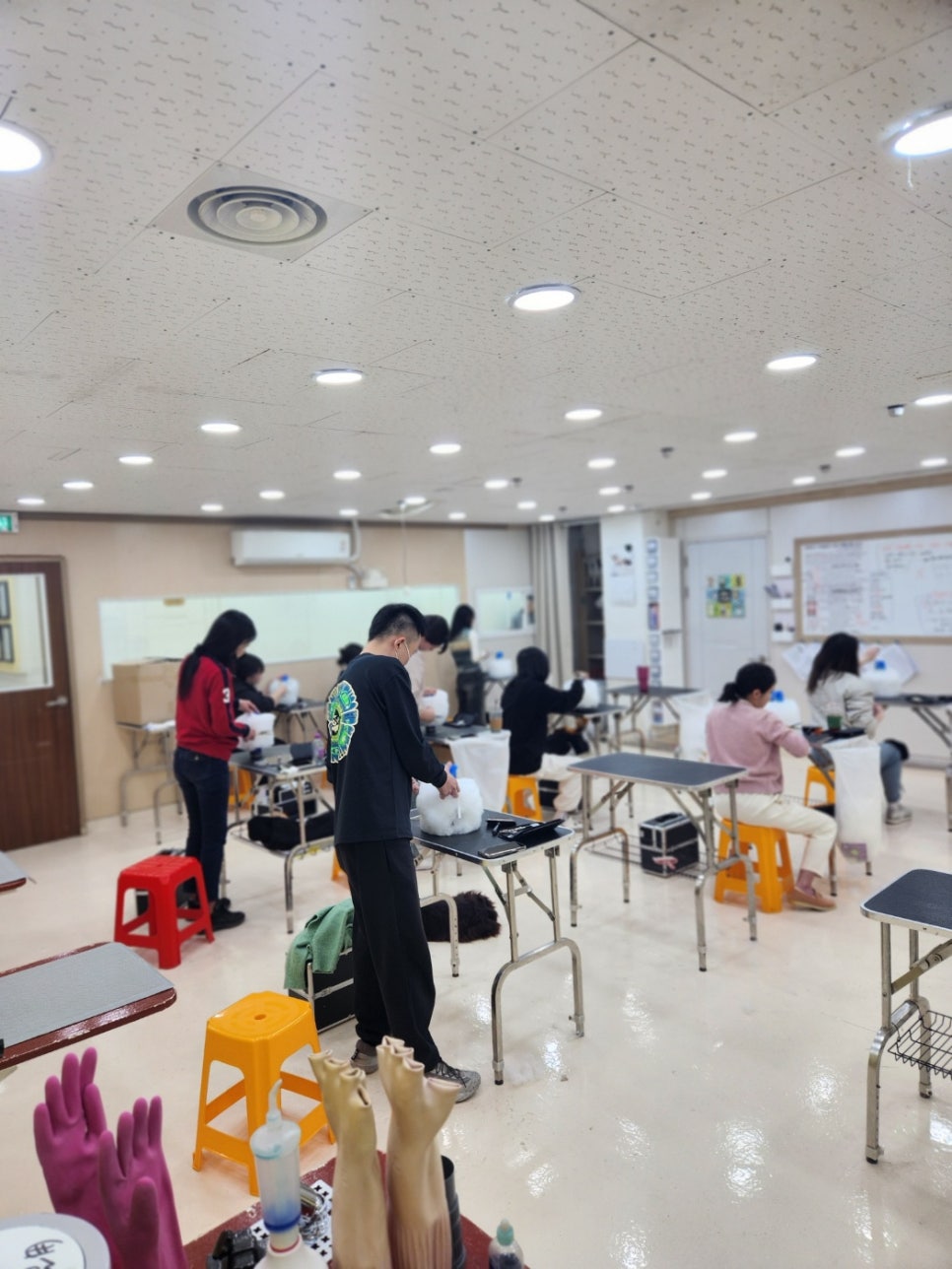 김재용애견미용학원 이미지