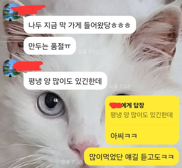 연미소관 이미지