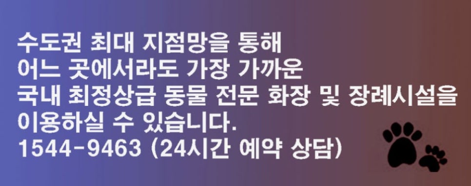 고양이 장례 비용, 안정적인 절차와 함께 — 사진 9