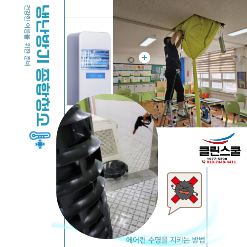 클린스쿨 전북 이미지