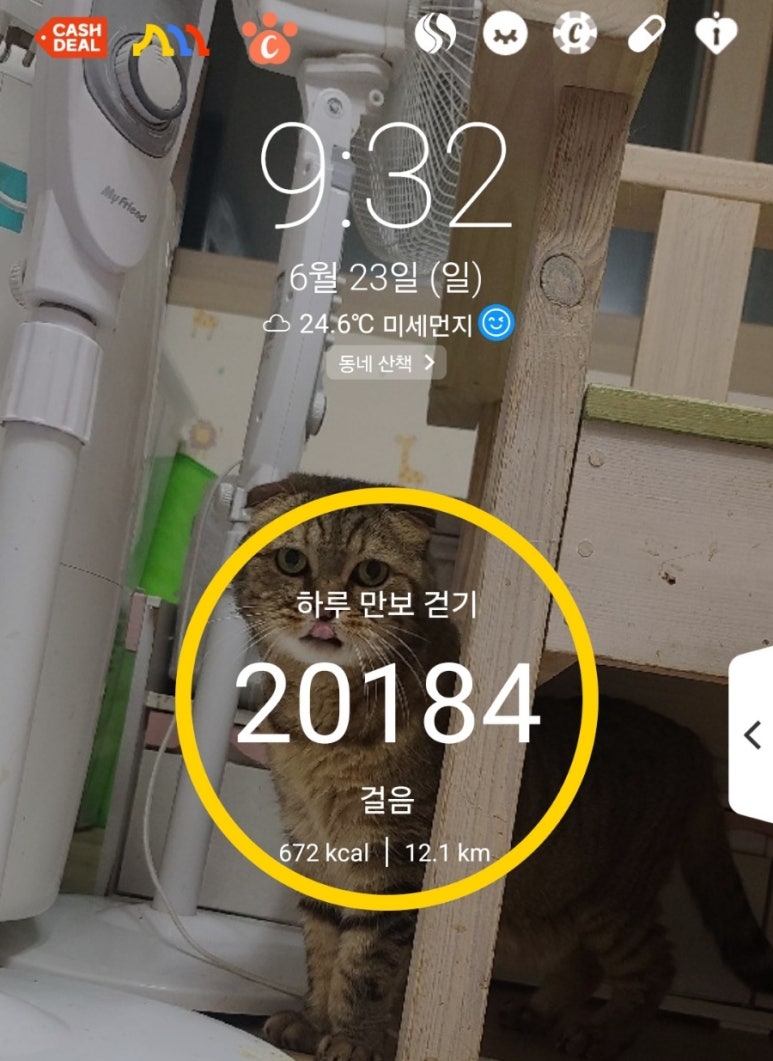연미소관 이미지