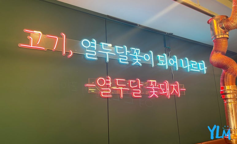열두달꽃돼지 이미지