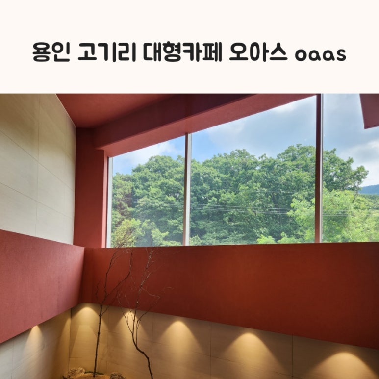 오아스(oaas) 이미지