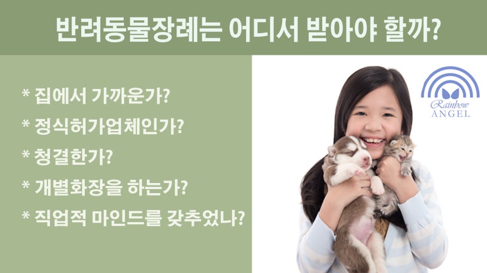 고양이 장례 비용, 안정적인 절차와 함께 — 사진 3