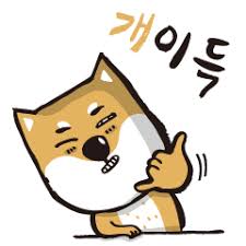 딜라이트클럽 이미지