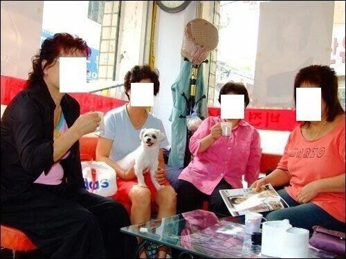 뽀삐미용실 이미지