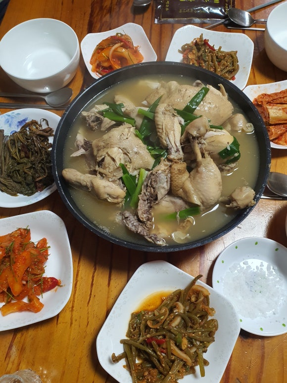 참옻지장수연구소 이미지