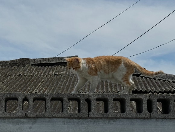 (주)테라도스 이미지