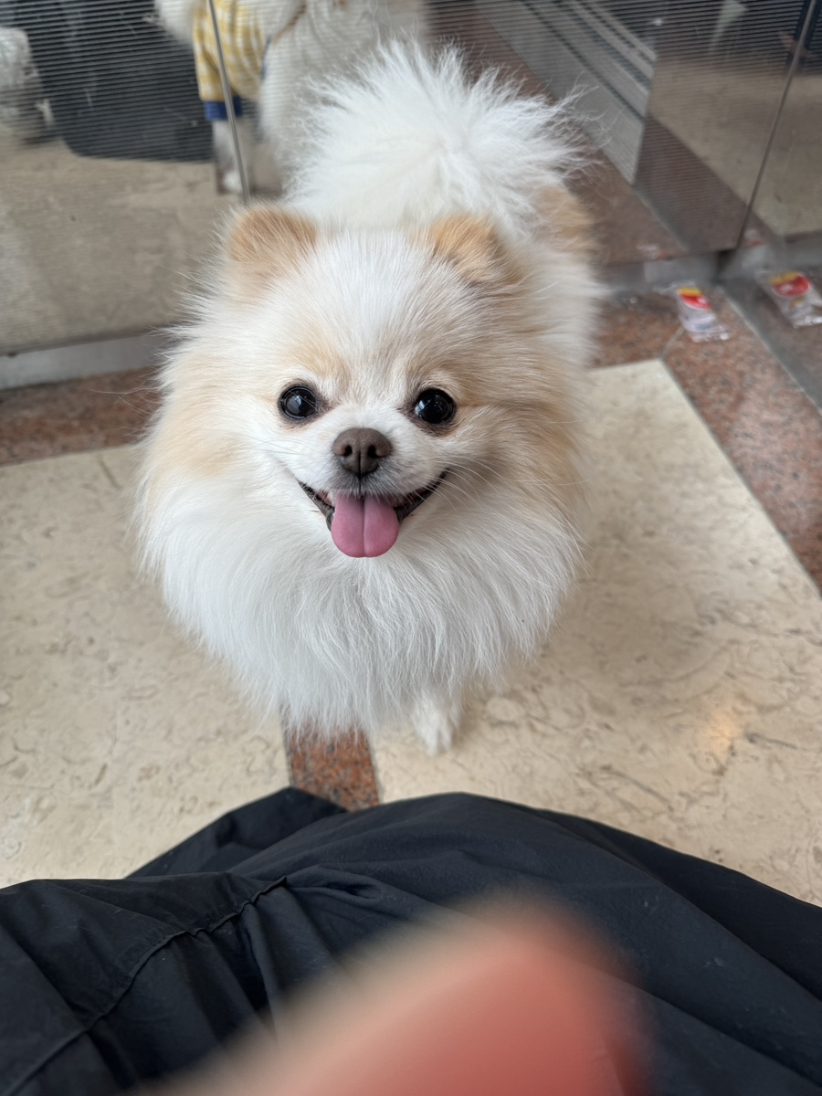 수양미용실 이미지