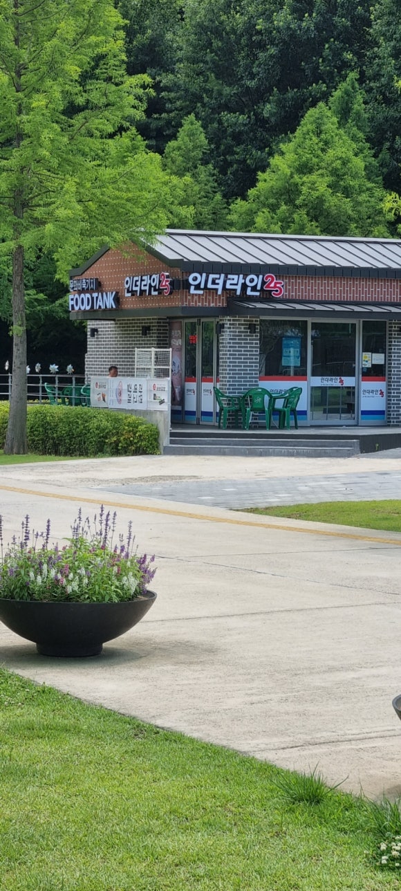 인더라인25 이미지