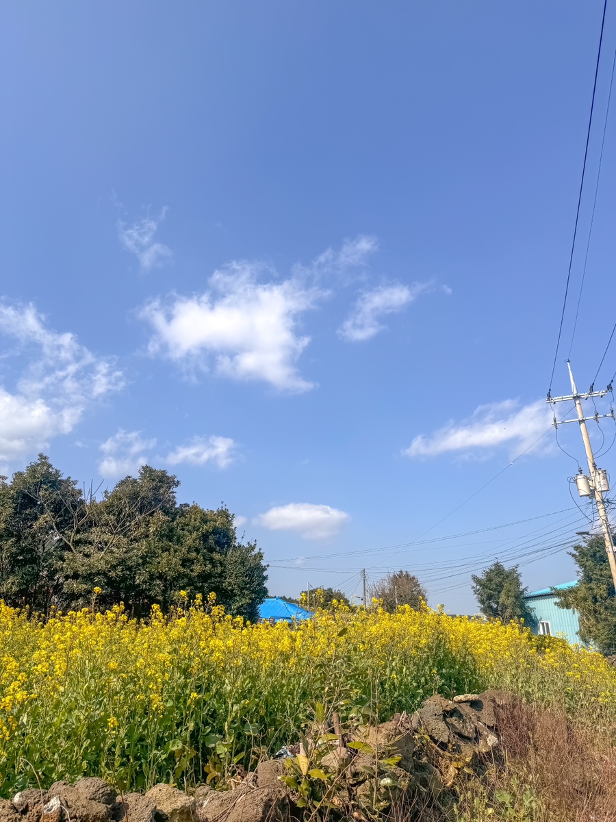 송당빌레 이미지
