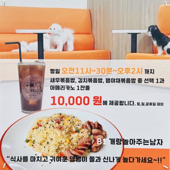 개랑 놀아주는 남자 이미지
