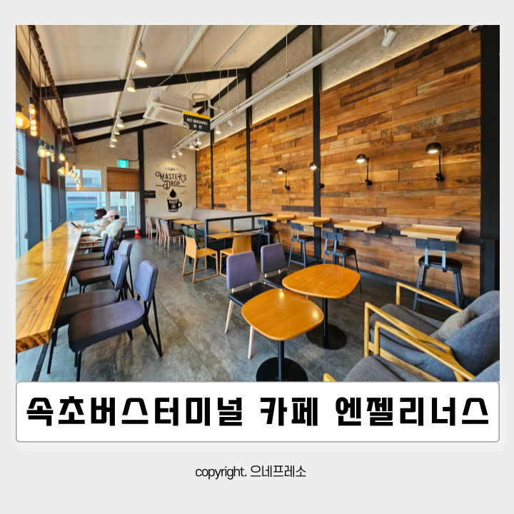엔제리너스속초 이미지