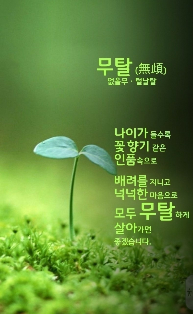 낭만포차한식점심부페 이미지