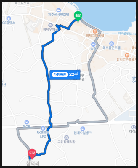 키잎 이미지