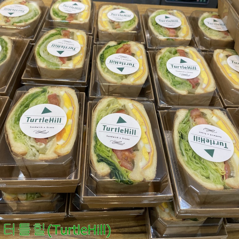 터틀힐 이미지