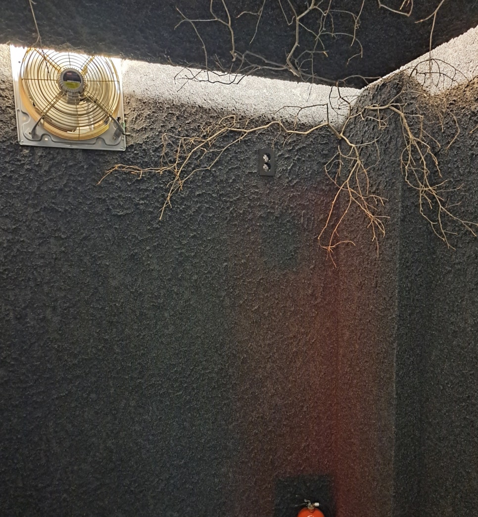 동명반주 이미지