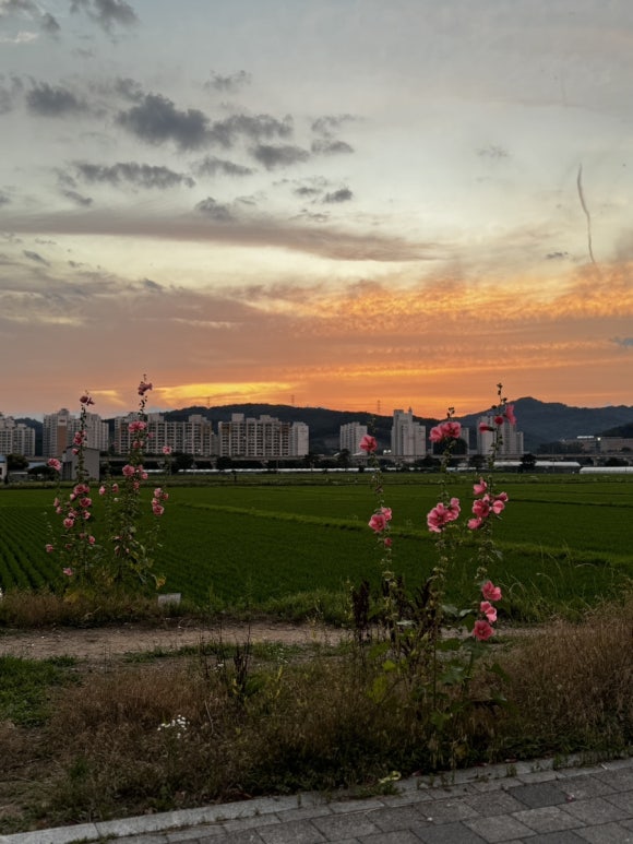 경대수산 이미지