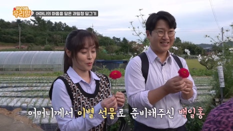 백일홍네일 이미지