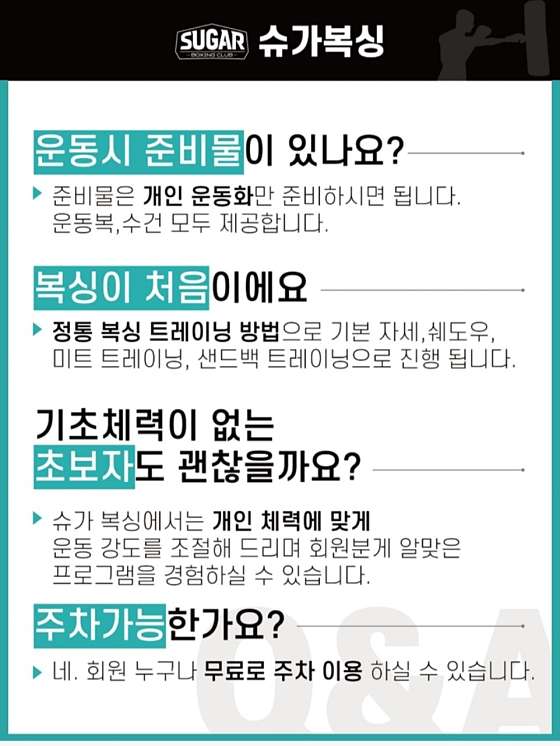 슈가복싱 이미지