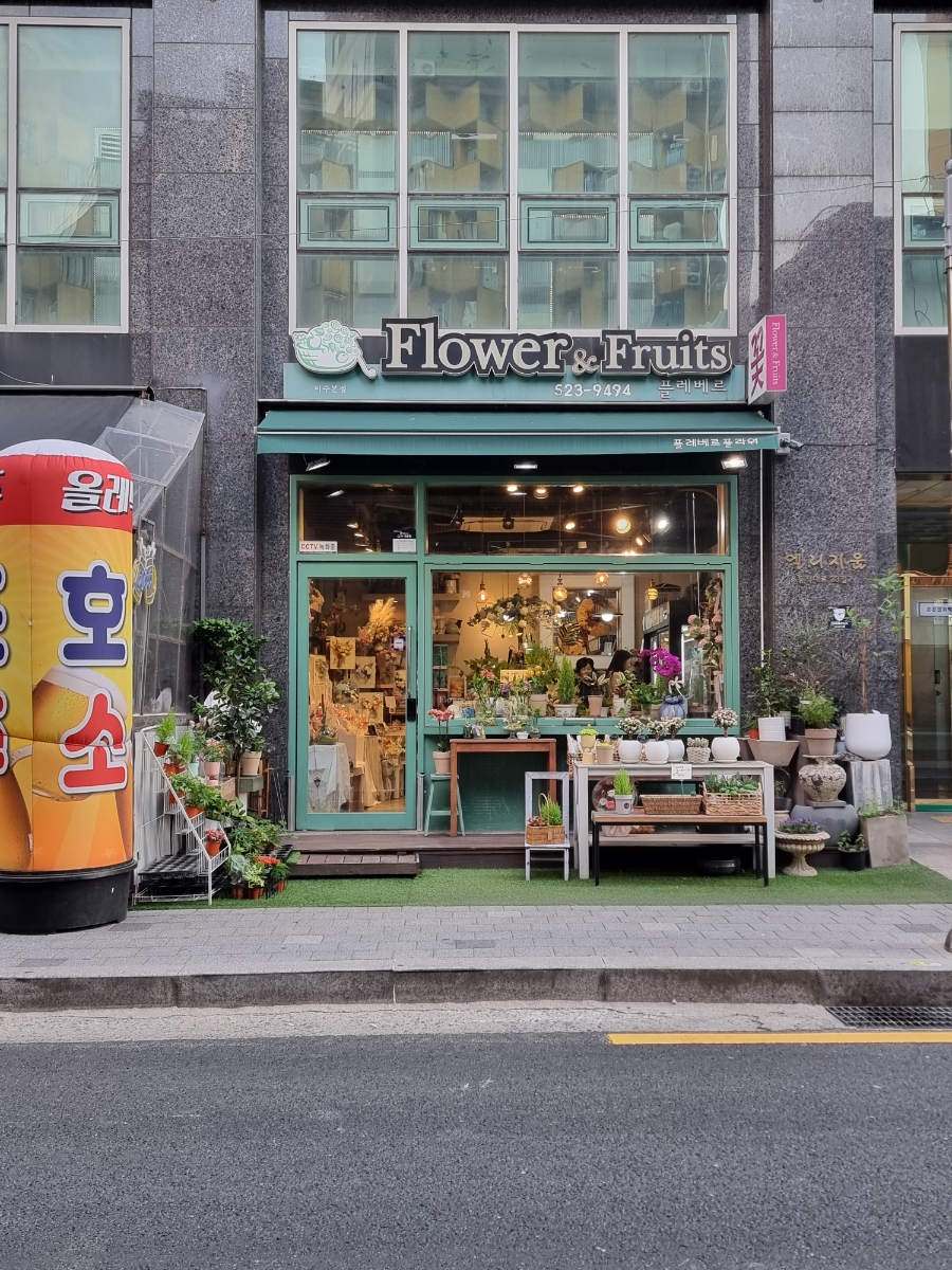 플레베르플라워 이미지