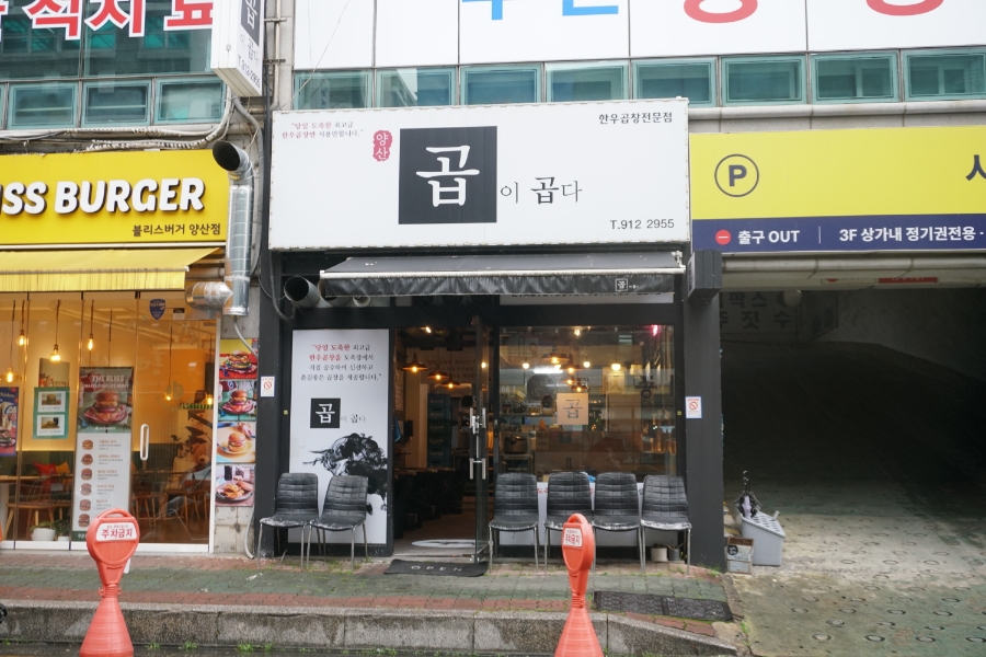곱이곱다 이미지
