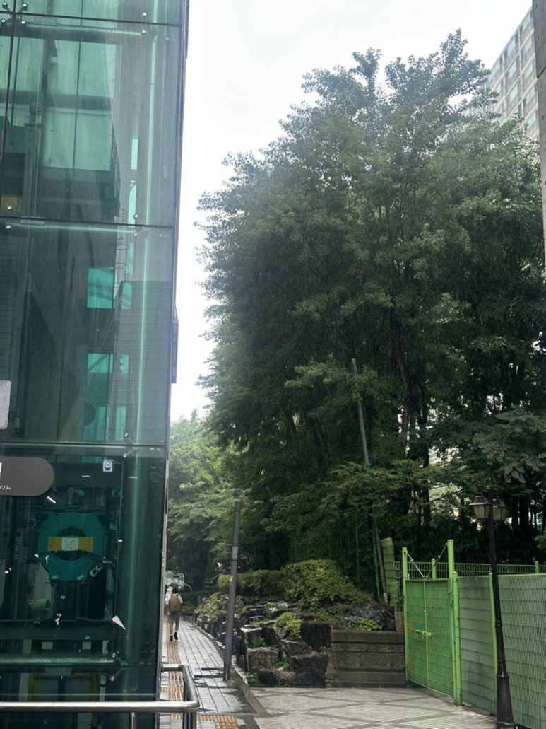 김밥나라떡볶이왕 이미지