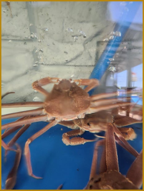 바른수산 이미지