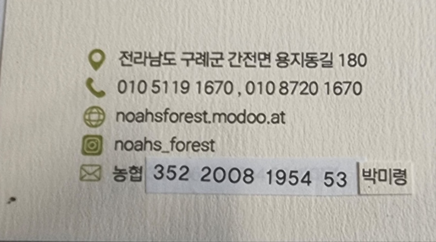 노아의숲 이미지