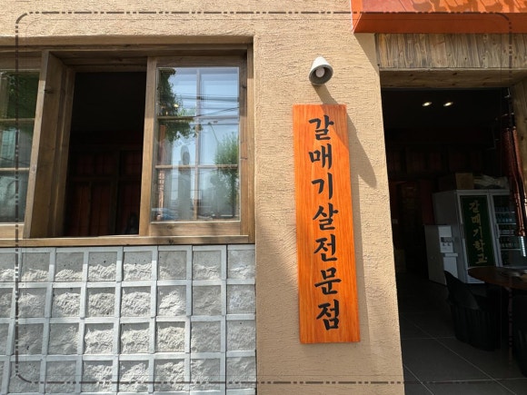 갈매기 학교 이미지