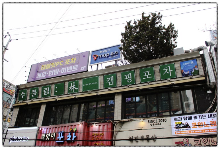 수풀림 이미지