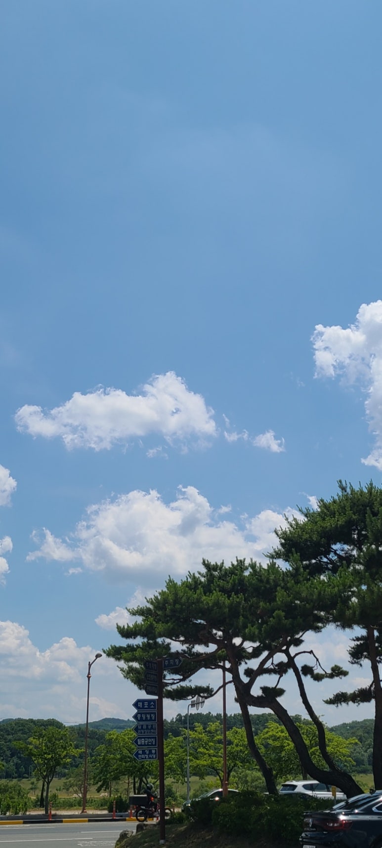 패밀리뷔페토마토 이미지