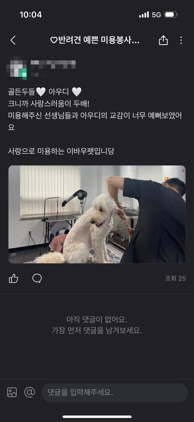 강남 애견미용학원 무료 미용 후기 및 신청 방법 — 사진 4